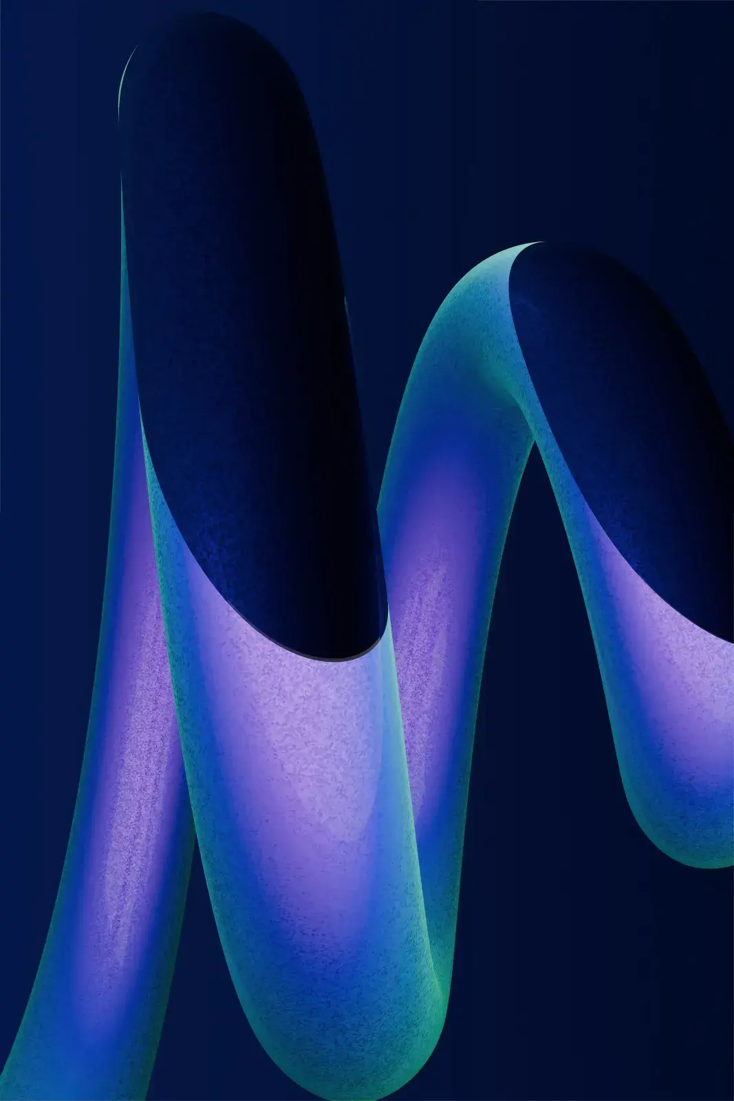 Abstract flowing forms representing standardized private equity portfolio IT