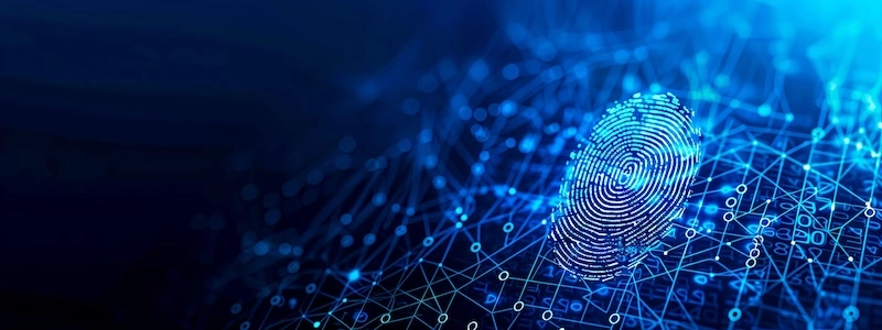 IT Network Security Protects Your Business Data
